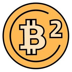 B2 Network